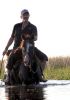 Filename=Horse_____28129.jpg
Filesize=96KiB
Dimensions=1080x1080
Date added=Sep 20, 2025 Horse_____28129.jpg