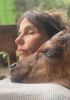 Filename=_Lembu__Meri__________Compas.jpg
Filesize=122KiB
Dimensions=1080x1080
Date added=Aug 15, 2025 _Lembu__Meri__________Compas.jpg